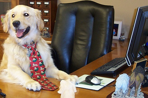 Step-9-of-HR-Policy-for-Employee-Giving-Programs-Document-the-Matching-Gift-Program-Policy.jpg
