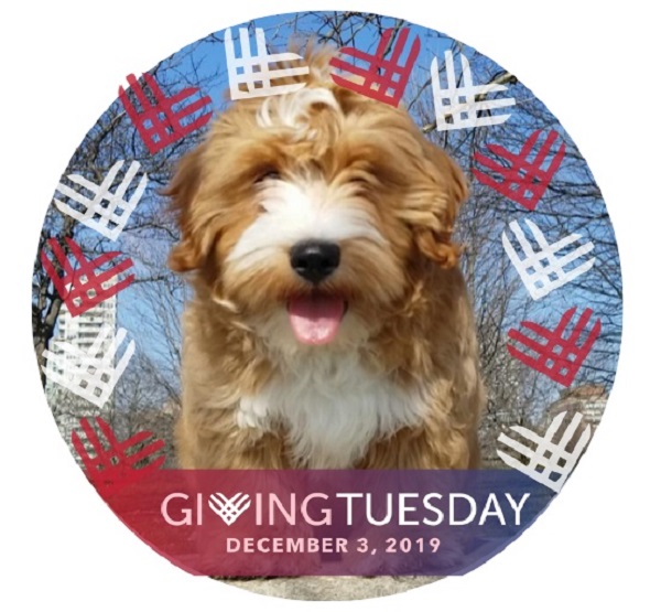 5 Things Businesses Can do for GivingTuesday